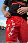 Relentless Unisex mesh shorts