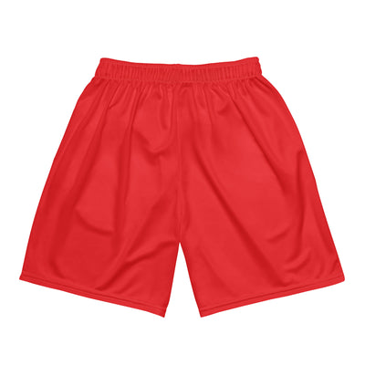 Relentless Unisex mesh shorts